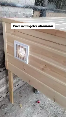 cuce yerileri zakasla duzelir istiliyi aftamatikdi... #kesfet #azerbaycan#