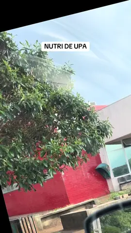 Como é ser nutricionista de uma UPA e gerenciar uma cozinha 🏥 Nem tudo são flores 🌷 lidar com produção é solucionar problemas várias vezes ao dia, mas é gratificante saber que levamos afeto em forma de comida aos nossos pacientes! #nutri #upa #saude #nutricao #alimentacao 