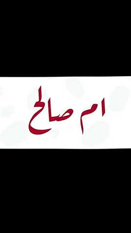#ام_صالح #اكسبلور #fyp #امطار_الجنوب 