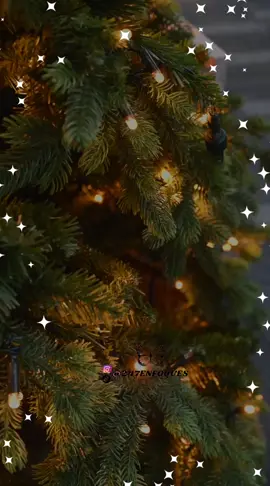 Diciembre: Hoy iniciamos un nuevo mes. En nombre de Dios vendrá cargado de muchas Bendiciones para todos. #gratitudenletras #fypp ##paratiiiiiiiiiiiiiiiiiiiiiiiiiiiiiii #paratiiii #buenosdías #buendia #buenosdiasmundo #bienvenidodiciembre #bienvenidodiciembre🎉🎁🎄 #diciembreestaaqui 