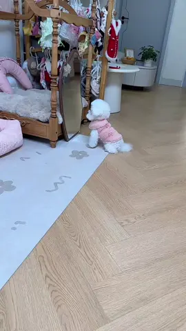 wow so cute dog baby funny video 🐕🐶😂😂😂😂#fyppppp #foryou #viralvideo #viraltiktok #huppy #Dogs #baby #viral #foryoupage 