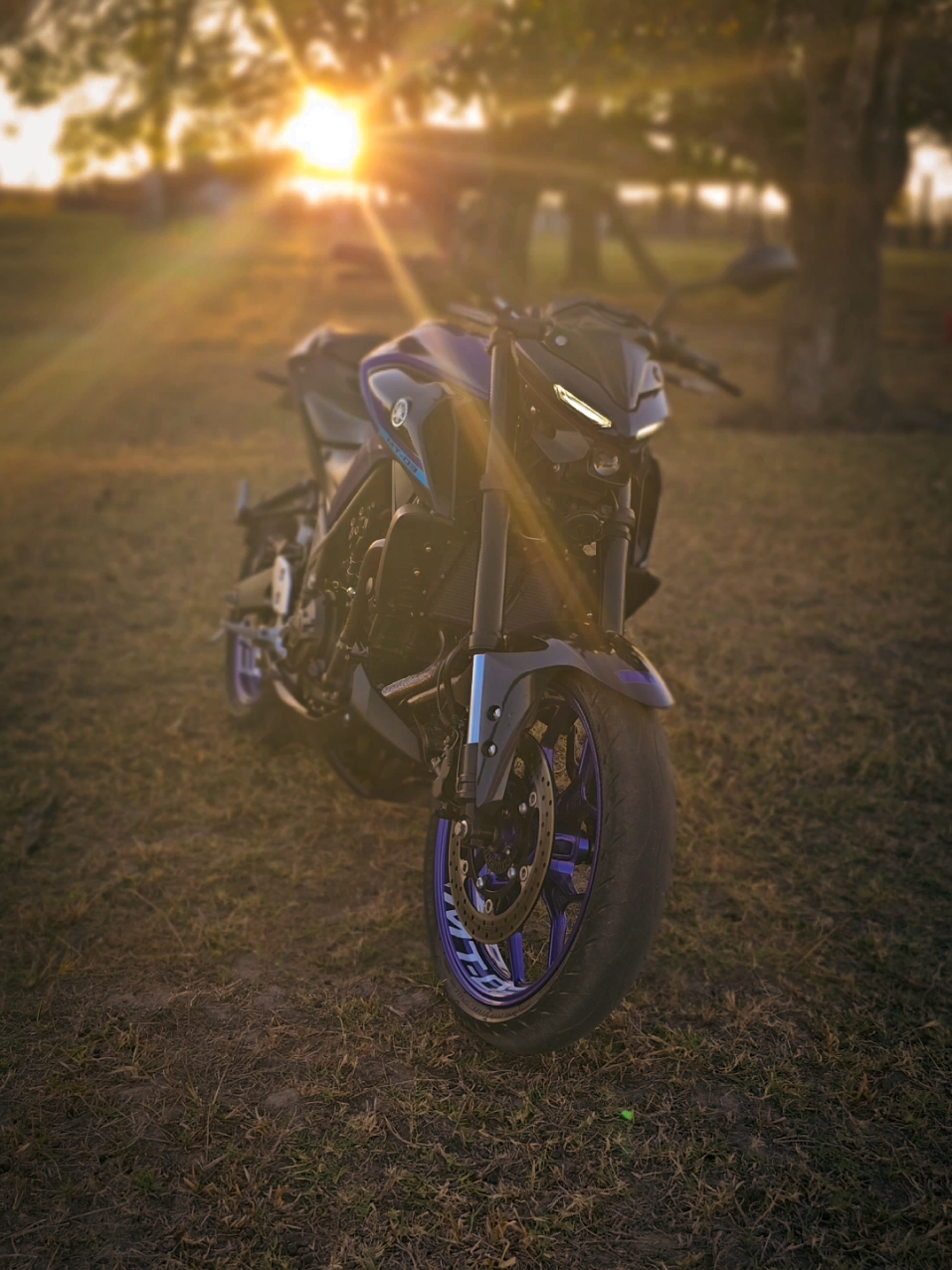 O vespão🐝, Mtreta 03 . #mt03 #motos #edit #fyp 