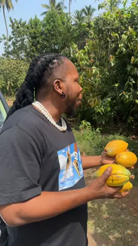 😆😆😆🤣 #Ababio 😂😂😂   #Cocoakrakyi #CocoaFamer 