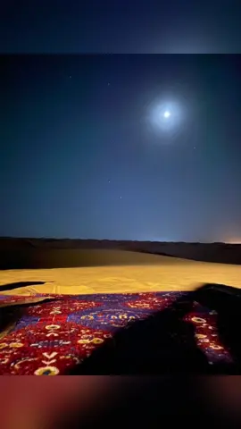 اهديك يا تركي نصيحة مدلة … #شعراء #شعر #عبدالله_صلف #شعراء_وذواقين_الشعر_الشعبي🎸 #اكسبلورexplore 