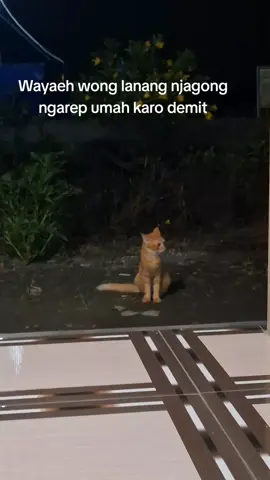 #story #quotes ...##fypfiralシ 