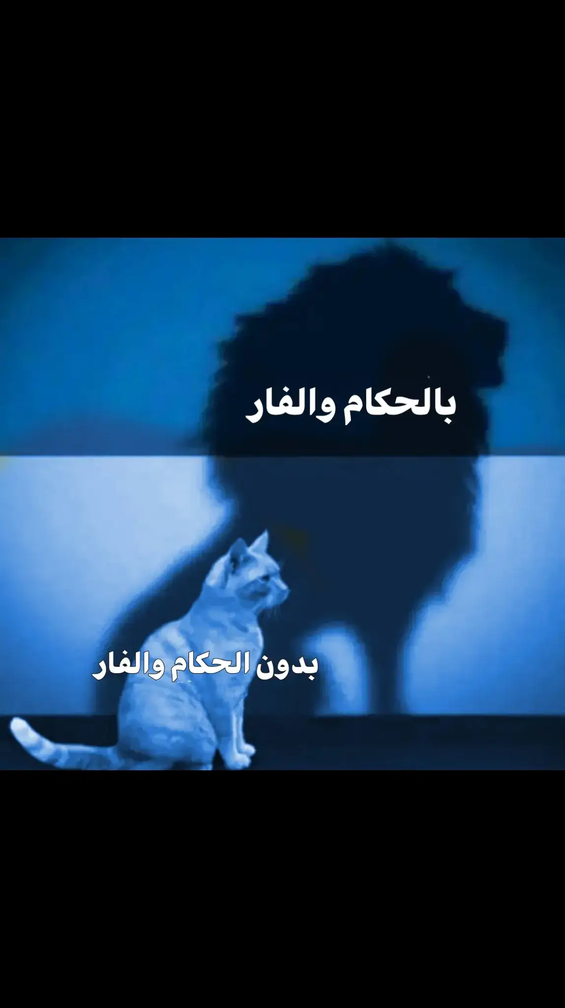 #الفار_يحتاج_فار #الفار_الازرق @حاتم @حاتم 