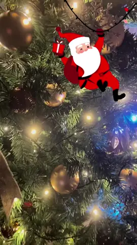 Rekomendasi Pohon Natal Murah #pohonnatal #natal #natal2024 #christmas #xmas #dekorasinatal 