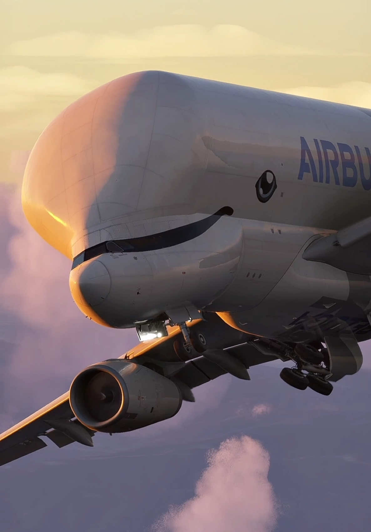 Airbus Beluga ✈️ #aviation 