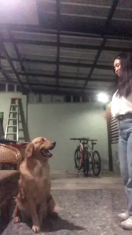 very cooperative naman ang baby na yan 🎀  #dogsoftiktok 