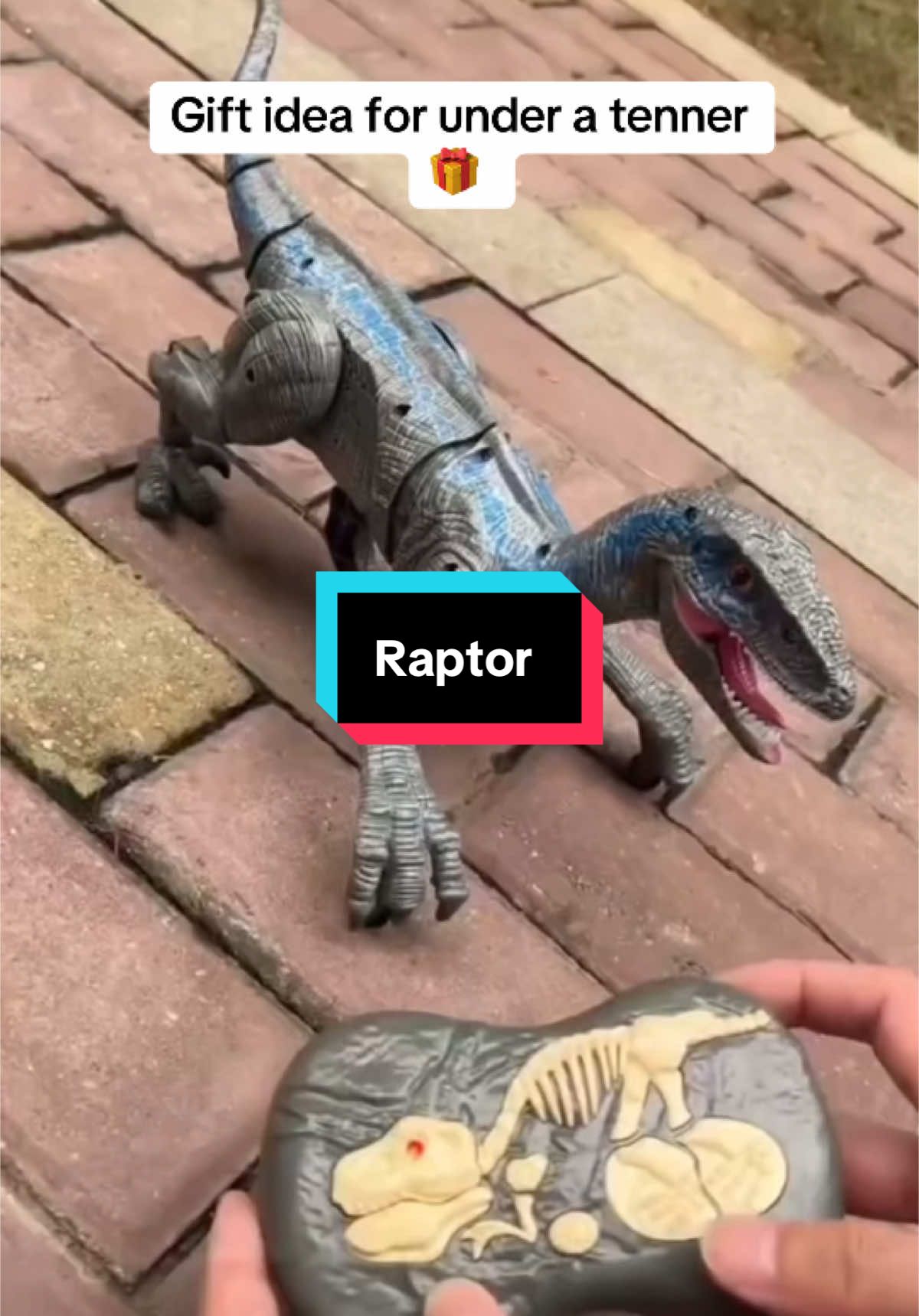 Ive got my nephews all one of these. Theyre so good! Theyll love them! #christmasgift #gift 