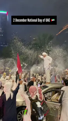 UAE 🇦🇪 53 national day celebrations #fyp #viral #uae #nationalday 