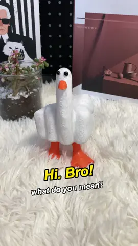 It’s fun!!😂😂#fun #whiteelephant #funnygift #treasurefinds #tiktokmakemebuyit #middlefingerduck 