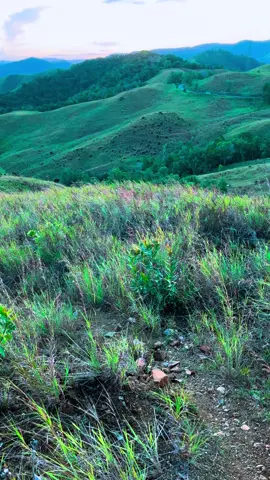 🌅🫶🏾 #Sentani #danau #sunset #sentanisunset #papuasunset #jayapura #papua #sentanipapua #happy  #malam #png #papuahits #papuatiktok #papuaviral #lagupng #lagiviral #laguhits #jayapurahits #sentani #papuan #tiktokviral 