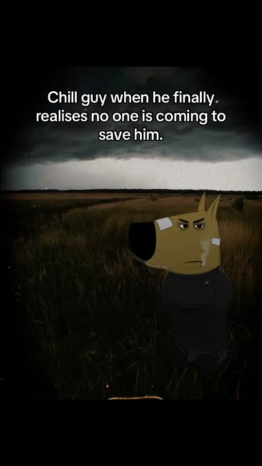 #angryguy #angryguymeme #chillguy #chillguymeme #mynewcharacter #viral #funny #goviral #relatable 