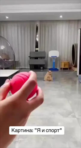 #спорт#