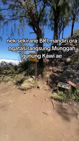 #malanghits #jowopride #malanghits 