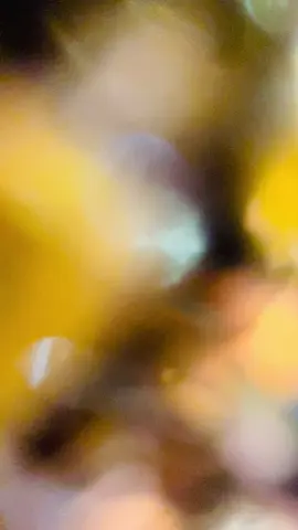 #pageforyou_🔥 #yiralvideo #yiralvideo #100kviews #tiktok #teame #plzzzzz #🇦🇫🏳️🦁👑🏳️🇦🇫🏳️🇦🇫🥰🥀🦅🇦🇫🦁❤️🧿🥰💪💪 