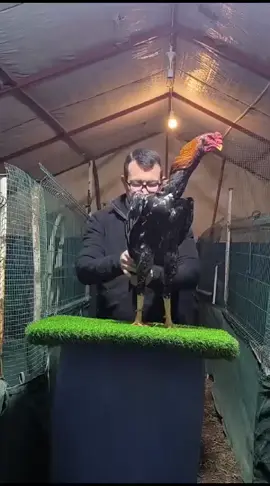 şampiyon kardeşi kadroda💥🔥🏆
