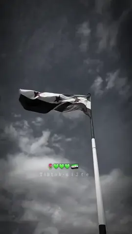 خطوة..خطوة.. أيد بأيد..#سوريا حرة#الشعب يريد اسقاط النظام سوريا الحب وحلب ترد الروح 💚🤍