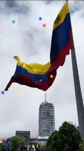 Bienvenido diciembre mi amada Venezuela 🇻🇪. #venezuela #primerodediciembre #navidad #venezolanosenelmundo #diciembre