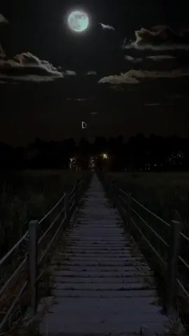 #diciembre #fyp #navidad #letra 