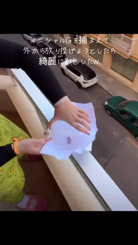 ベランダからイニシャルGを… #虫#虫捕獲 #ベランダから #着地 #アラジン #ディズニー #ホールニューワールド #面白い 