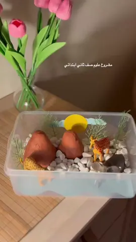 #مشروع_علوم 
