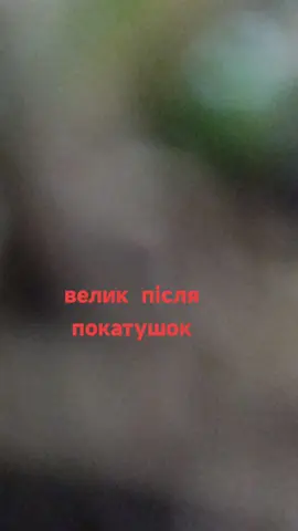 #поле 