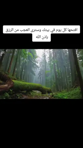 #CapCut #stembouli_for_recyclage#راحة_نفسية 
