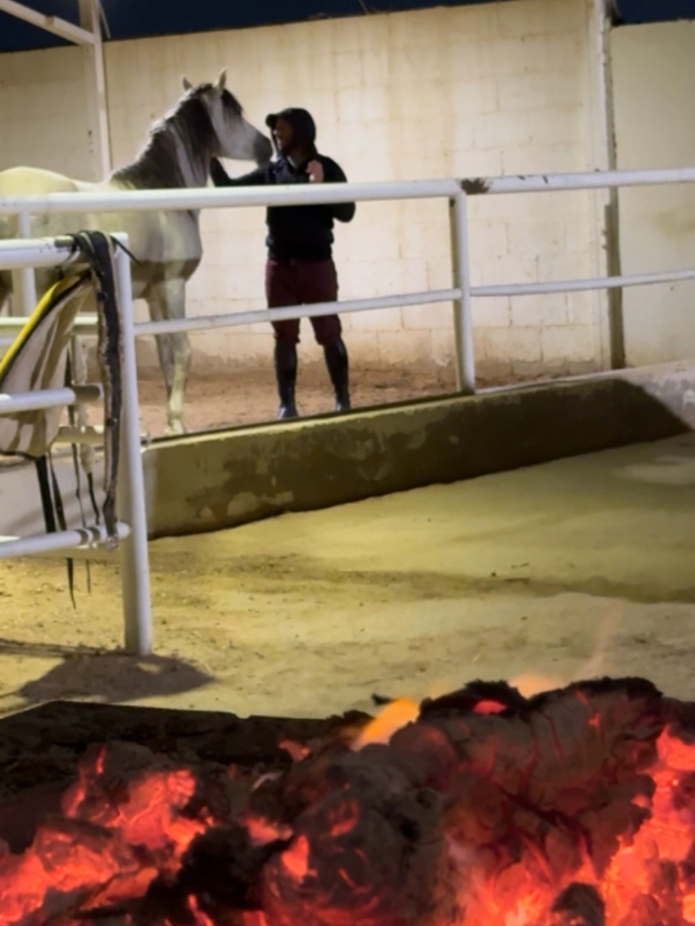 نعمه  #عشق #عشق_حقیقی #عشقي #خيل #خيل_وخياله🐎 #horsesoftiktok #horses #horse #حب #عشق_الخيل #شتاء_البرد_اجواء_شتويه #الرياض #الحب 