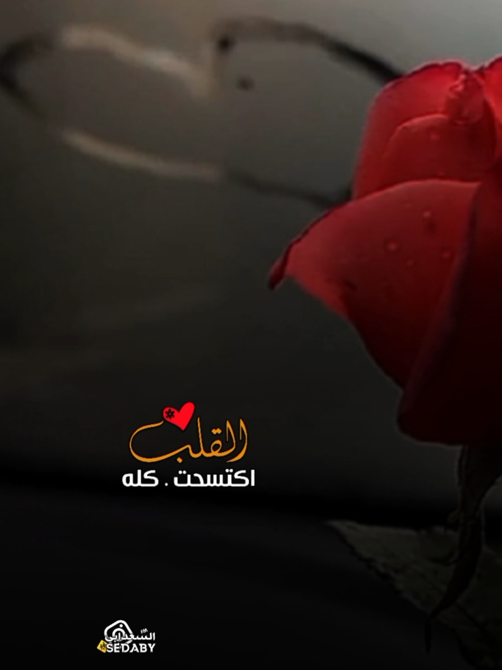 #اكتسحت_القلب_كله ❤️ #مشعل_الشراري #ابتسم_حظي #تصميم_فيديوهات🎶🎤🎬 #اكسبلور #شيلات_فخمة❤️ #trending #tiktok #viral #lavendr81 #تصويري #ترند_جديد #CapCut 