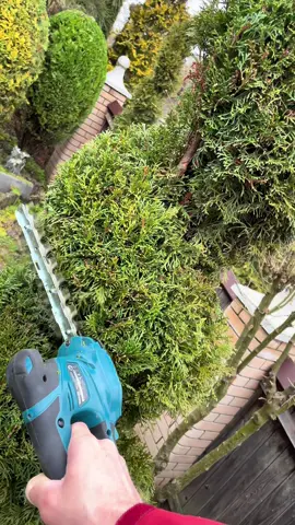 #стрижкарослин #ландшафтныйдизайн #garden #topiary #plant #spiral #автополив #рулонныйгазон #hedgelover #gardening #creative #inspiration #topiaryart #@Vasilii Pocitar 