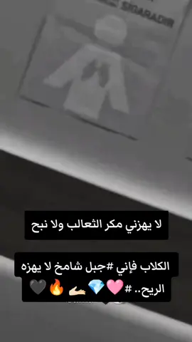لا يهزني مكر الثعالب ولا نبح الكلاب فإني #جبل شامخ لا يهزه الريح.. #ياخال 🔥🖤💪🏽#🥺 #CapCut 🩷💎