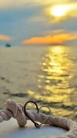 رسالتك اليوم حالات دينية مؤثرة تهز القلوب صفحات دينية اسلامية عبارات دينية تهز القلب مسائل دينية عبارات دينية تريح القلب فيديوهات دينيه #حالات_واتس #فيديوهات #مقاطع_دينية #cap #اسلاميات #ستوريات #مقاطع #خواطر #صباح_الخير #عبارات 