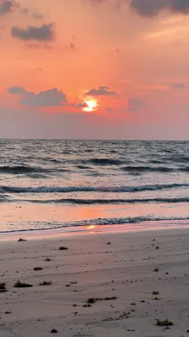 شاطئ شقيق البحر مع غروب الشمس #جازان 