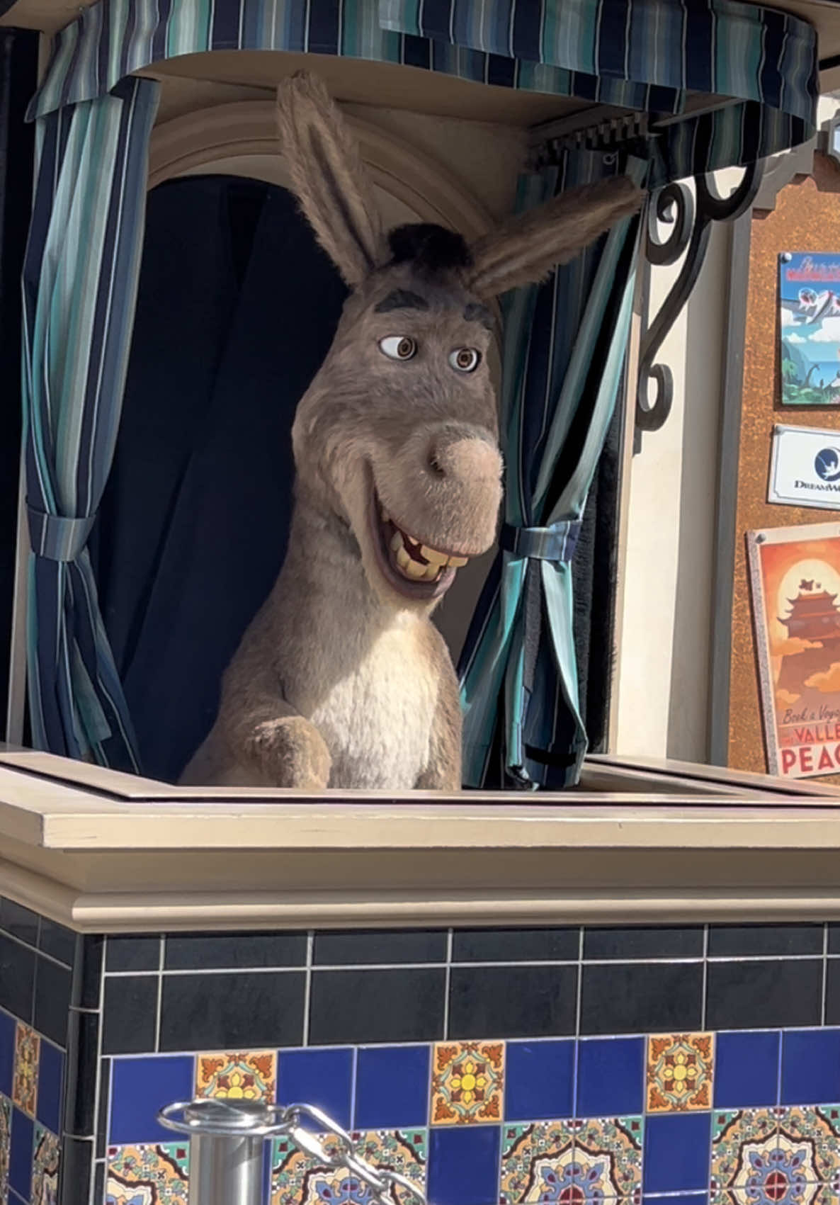Always a good laugh with Donkey😅 . . . . . . #donkey #shrek #laughter #languagebarrier #universalstudios #hollywood #mexico 