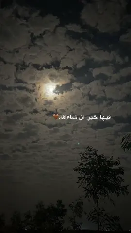 فیها خیر ان شاءالله.🤎