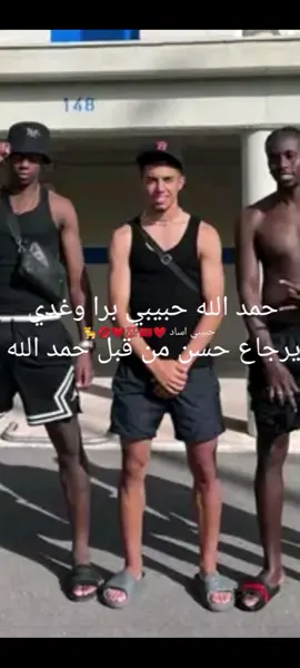 حمد الله حبيبي برا