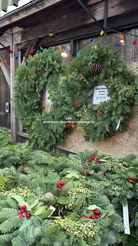 when everyone buys their christmas trees at the local grocery store ♥️ #newengland #vermonttiktok #vermonttiktoks #vermontcheck #vermontlife #woodstockvt #christmas #christmastree #christmastreefarm #xmastree #xmas #bostoninfluencers #bostoninfluencer #newenglandtowns #xmasgifts 