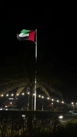 « 2ديسمبر » يوم يــروي إنجـــاز قادّة ، و حُــب وطن  ‏﴿رَبِّ اجعَل هَذَا البَلد آمِناً﴾ 🇦🇪 #comedia #fypシ #اليوم_الوطني_الاماراتي #uae🇦🇪 