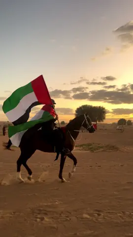 #اليوم_الوطني #اليوم_الوطني_الاماراتي #الامارات عيد_الاتحاد #uae #horse #🇦🇪 #🐎 #53 