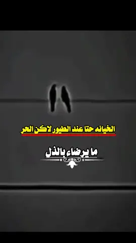 #الحب_راح_وراح_راعيه💔❤️🩹 
