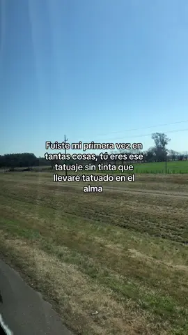 … #parati #fypシ #greenscreen #tatuajesintinta 