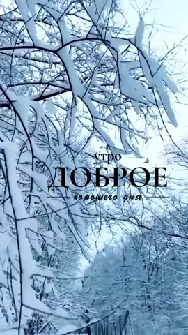 #снегкружится #снеглетаеткружитьсялетает #доброеутроспожеланием 