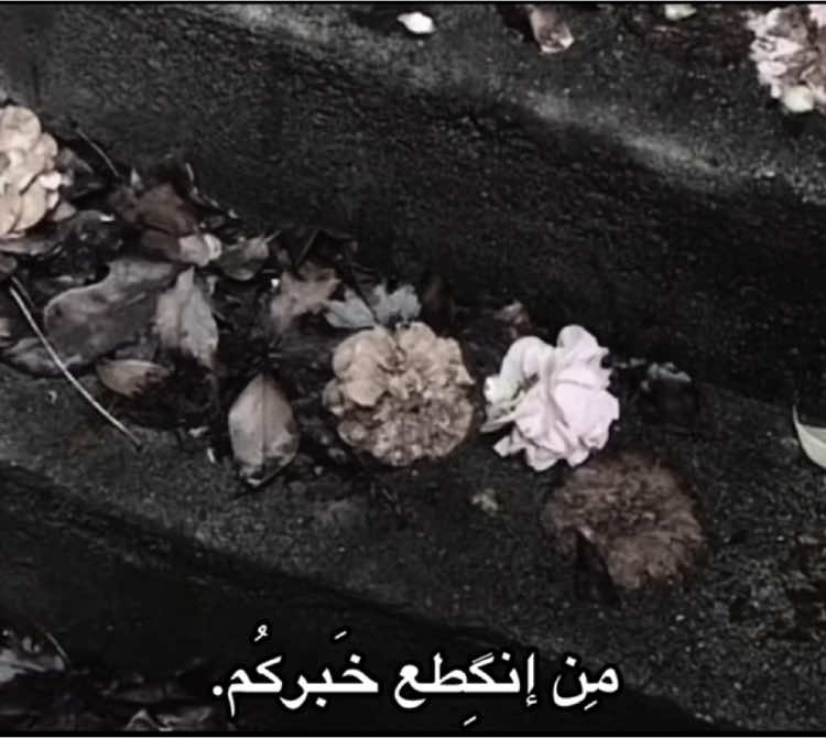لا تِرد مات الورد. #حياة🖤 #قصائد_اشعار #باسم_الكربلائي #لاترد_مات_الورد 
