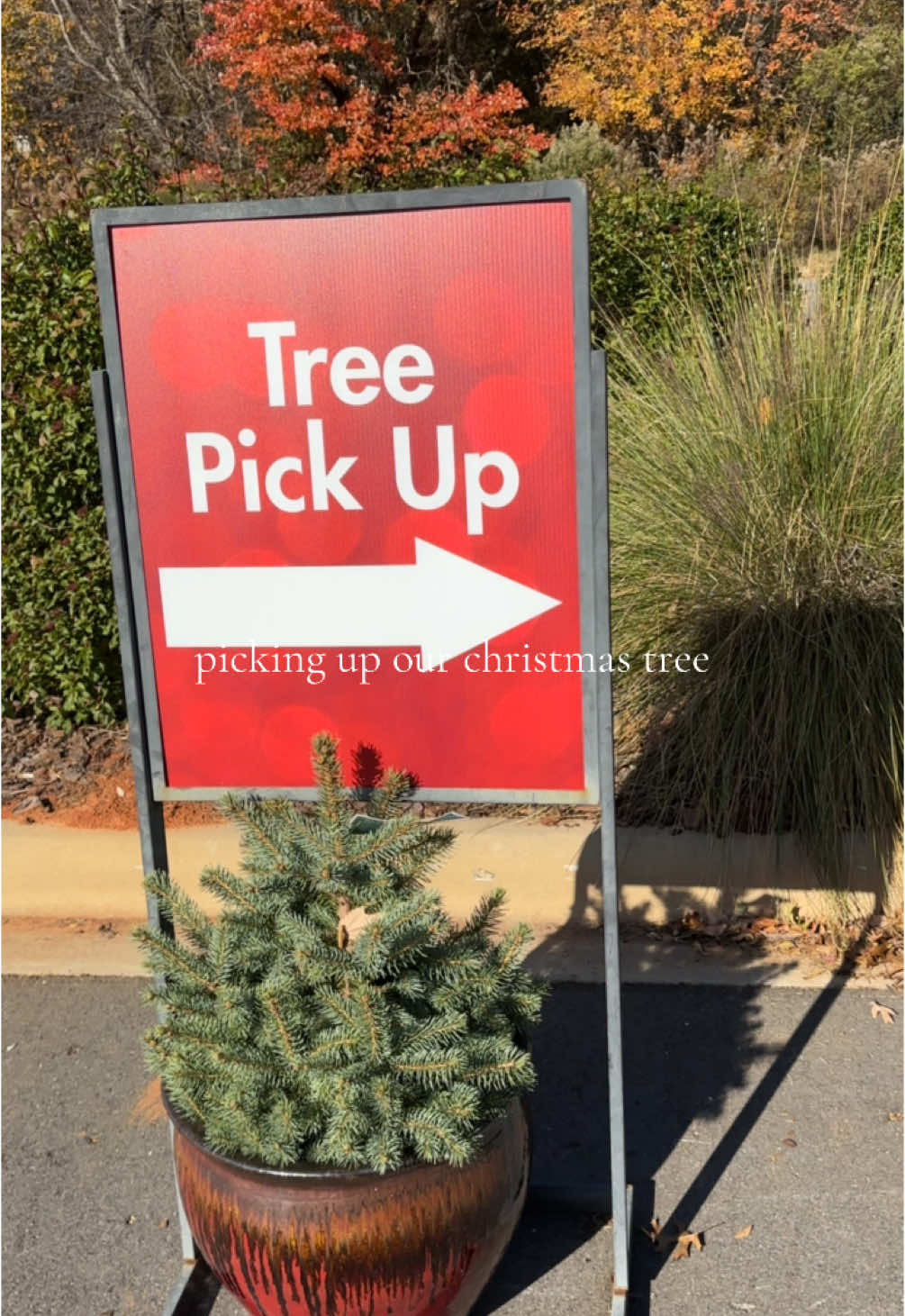 Nothing beats a live Christmas tree… except a live Christmas tree that’s flocked 🌲❄️✨  I can’t wait to decorate this beaity from @Pike Nurseries   #livechristmastree #realchristmastree #flockedchristmastree #christmas 