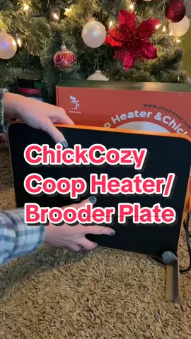 Keep your feathered friends warm and safe with the Chickcozy Smart Chicken Coop Heater, designed with advanced temperature sensing technology. Equipped with a built-in temperature detection probe, this heater automatically adjusts to maintain optimal warmth, ensuring your coop stays cozy without overheating. Whether used for a full coop or as a chick brooder, the heater provides a reliable and energy-efficient solution, giving you peace of mind during colder months. Easy to install and customize to your needs, Chickcozy delivers comfort and safety for your flock all year round🐓🐥 @Chickcozy  #chickens #chickencoop #chickencoopheater #winter #backyardchickens 