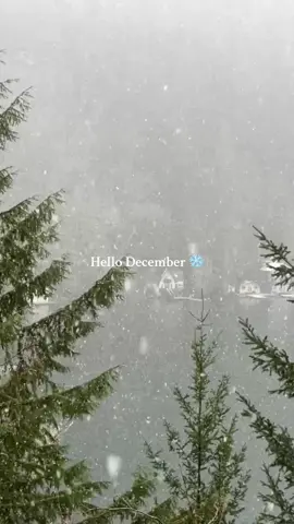 December 🌨️❄️ #snow #december #vibes #cozy #snowfall #pnw #holidays 