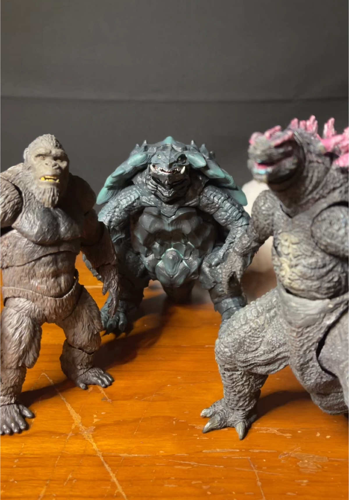 Gamera should be glad he’s a turtle #godzilla#Kong#gamerarebirth#Monsterverse#tmnt2012#ActionFigures#Comedy 