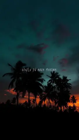 Asi Es El Amor | #aguamarina #asieselamor #Cumbia #fyp #musica #parati 